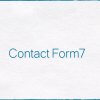 WordPressプラグイン「Contact Form 7」でサイト内で生成した変数を送信する方法